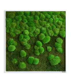 StyleGREEN Bild Aus Wald- Und Kugelmoos Im Verlauf, Ca. B80/H80/T7 Cm