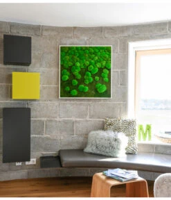 StyleGREEN Bild Aus Wald- Und Kugelmoos Im Verlauf, Ca. B80/H80/T7 Cm 8 StyleGREEN Bild Aus Wald- Und Kugelmoos Im Verlauf, Ca. B80/H80/T7 Cm -Eleganter Garten 6429807 WE MO 001 Wald KugelmoosbildVerlauf80x80cm