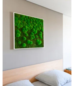 StyleGREEN Bild Aus Wald- Und Kugelmoos Im Verlauf, Ca. B80/H80/T7 Cm 9 StyleGREEN Bild Aus Wald- Und Kugelmoos Im Verlauf, Ca. B80/H80/T7 Cm -Eleganter Garten 6429807 WE MO 002 Wald KugelmoosbildVerlauf80x80cm