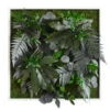 StyleGREEN Bild Aus Wald- Und Kugelmoos, Quadratisch, Ca. B55/H55/T17 Cm