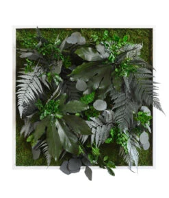 StyleGREEN Bild Aus Wald- Und Kugelmoos, Quadratisch, Ca. B55/H55/T17 Cm