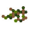 StyleGREEN Bilder-Set Aus Moos Und Kork, Hexagon, 25-teilig -Eleganter Garten 6429849 WE FS 001 HexagonSet25er