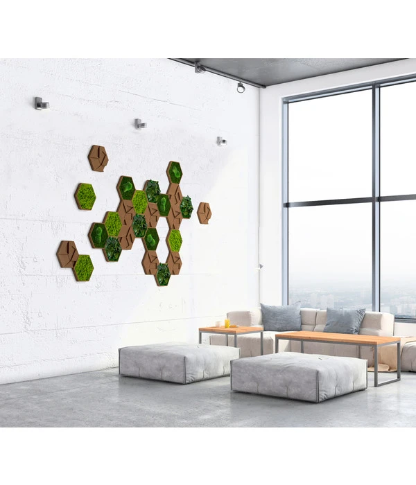 StyleGREEN Bilder-Set Aus Moos Und Kork, Hexagon, 25-teilig 4 StyleGREEN Bilder-Set Aus Moos Und Kork, Hexagon, 25-teilig – Bild 2