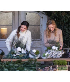 Grabgesteck Stille, Herzförmig, Ca. B25/H22/T25 Cm 10 Grabgesteck Stille, Herzförmig, Ca. B25/H22/T25 Cm -Eleganter Garten 6462949 WE MO 002 SerieStillePremiumAllerheiligen2023