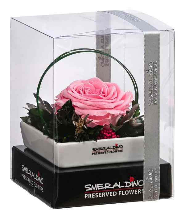 Dehner Keramik-Schale Mit Longlife-Rose Dita, Rosa, Ca. B10/H11/T10 Cm 4 Dehner Keramik-Schale Mit Longlife-Rose Dita, Rosa, Ca. B10/H11/T10 Cm – Bild 2