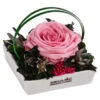 Dehner Keramik-Schale Mit Longlife-Rose Dita, Rosa, Ca. B10/H11/T10 Cm -Eleganter Garten 6537708 WE FS 002 LL SchaleDitaROSA
