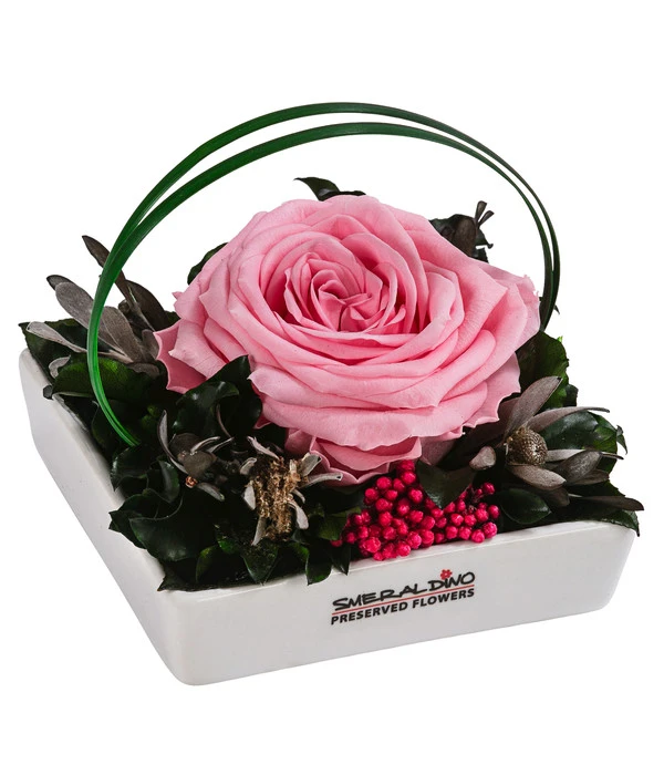 Dehner Keramik-Schale Mit Longlife-Rose Dita, Rosa, Ca. B10/H11/T10 Cm 3 Dehner Keramik-Schale Mit Longlife-Rose Dita, Rosa, Ca. B10/H11/T10 Cm