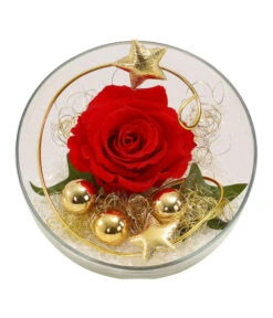 Longlife-Rose, Ca. Ø3 Cm -Eleganter Garten 6592539 WE FS 001 LongLifeRoseRotinGlaskugel