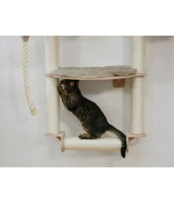 KERBL Wandkratzbaum Dolomit Grappa Pro, Beige, Ca. B70/H138/T66 Cm -Eleganter Garten 6603245 WE MO 002 KratzbaumDolomitGrappaPro