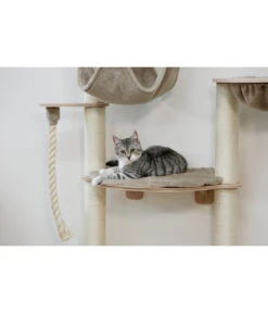 KERBL Wandkratzbaum Dolomit Grappa Pro, Beige, Ca. B70/H138/T66 Cm -Eleganter Garten 6603245 WE MO 003 KratzbaumDolomitGrappaPro