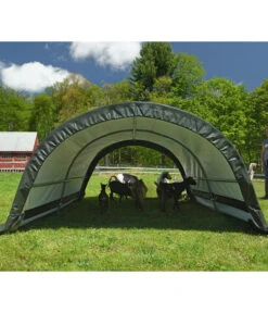 Shelter Logic Weidezelt Run-In, Ca. B260/H150/T300 Cm -Eleganter Garten 6610414 WE MO 001 50NorthWeidezelt