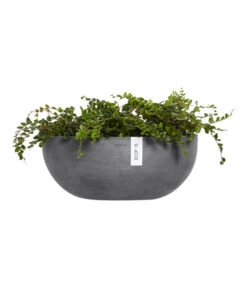 Ecopots Kunststoff-Schale Sofia Wall Mit Wassersystem, Oval, Grau, Ca. B43/H17,5/T25 Cm -Eleganter Garten 6614515 WE FS 003 EcopotsKunststoffSchaleSofiaWallmitWassersystemovalgrau