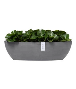 Ecopots Kunststoff-Schale Sofia Mit Wassersystem, Oval, Ca. B56/H16/T14 Cm -Eleganter Garten 6614580 WE FS 003 EcopotsKunststoffSchaleSofialangmitWassersystemoval
