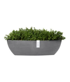 Ecopots Kunststoff-Schale Sofia Mit Wassersystem, Oval, Ca. B56/H16/T14 Cm -Eleganter Garten 6614580 WE FS 004 EcopotsKunststoffSchaleSofialangmitWassersystemoval