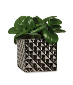 Scheurich Keramik-Übertopf Titanium, Quadratisch, Silber 9 Scheurich Keramik-Übertopf Titanium, Quadratisch, Silber -Eleganter Garten 6642060 WE FS 003 TopfTataniumSilber