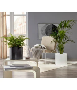 Scheurich Keramik-Übertopf, Rund, Ca. Ø33 Cm 9 Scheurich Keramik-Übertopf, Rund, Ca. Ø33 Cm -Eleganter Garten 6642151 PR MO 001 TopfPanna