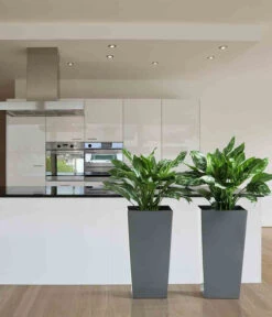 Siena Garden Kunststoff-Säule Lyon, Konisch, Ca. B35/H68/T35 Cm -Eleganter Garten 6655351 WE MO 001 PflanzgefaessLyon35Anthrazit