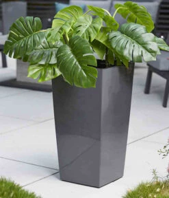 Siena Garden Kunststoff-Säule Lyon, Konisch, Ca. B35/H68/T35 Cm -Eleganter Garten 6655351 WE MO 002 PflanzgefaessLyon35Anthrazit