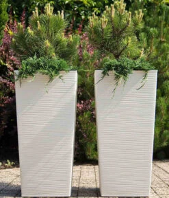 Siena Garden Kunststoff-Säule Eco Nizza, Konisch, Ca. B40/H75/T40 Cm -Eleganter Garten 6655427 WE MO 001 PflanzgefaessNizza40Weiss