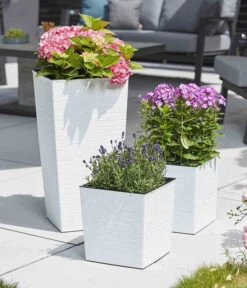 Siena Garden Kunststoff-Säule Eco Nizza, Konisch, Ca. B40/H75/T40 Cm -Eleganter Garten 6655427 WE MO 002 PflanzgefaessNizza40Weiss