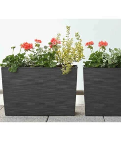 Siena Garden Kunststoff-Kasten Loire, Eckig, Grau, Ca. B56/H36,5/T19 Cm -Eleganter Garten 6655500 WE MO 001 PflanzgefaessCraonGraphit