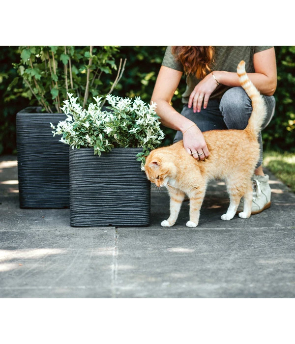 Capi Europe Kunststoff-Topf Rib, Quadratisch 4 Capi Europe Kunststoff-Topf Rib, Quadratisch – Bild 2