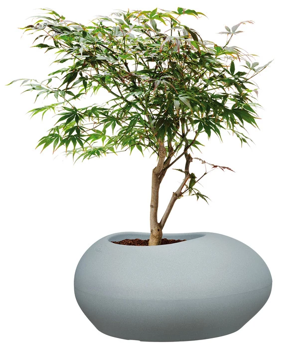 Scheurich Kunststoff-Topf Flow, Oval 4 Scheurich Kunststoff-Topf Flow, Oval – Bild 2