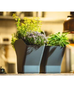 Kunststoff-Pflanzbaum-Set, Grau, Ca. B31,3/H77,3/31,3 Cm 16 Kunststoff-Pflanzbaum-Set, Grau, Ca. B31,3/H77,3/31,3 Cm -Eleganter Garten 6739528 WE MO 001 KunststoffPflanzbaumSetgrau