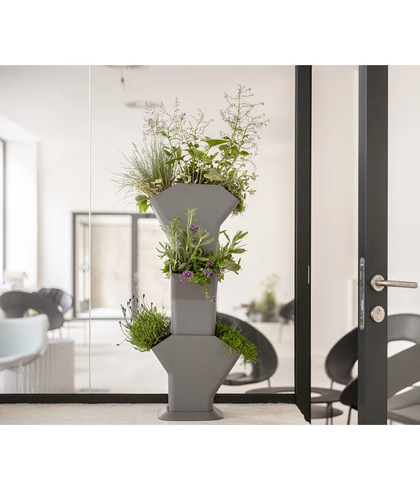 Kunststoff-Pflanzbaum-Set, Grau, Ca. B31,3/H77,3/31,3 Cm 6 Kunststoff-Pflanzbaum-Set, Grau, Ca. B31,3/H77,3/31,3 Cm – Bild 4