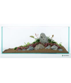 Aquadeco Aquariumdeko Set Galapagos Stein -Eleganter Garten 6765127 WE D 003 AquadecoGalapagosStein