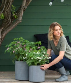 Vasar Kunststoff-Topf City, Grau 8 Vasar Kunststoff-Topf City, Grau -Eleganter Garten 6770911 6771166 6771190 WE MO 002 VasarKunststofftopfCityGrau