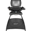 Weber Gasgrill Q 1000, 43 X 32 Cm 2 Weber Gasgrill Q 1000, 43 X 32 Cm -Eleganter Garten 6778104 WE FS 001 WeberQ1000StandBlack