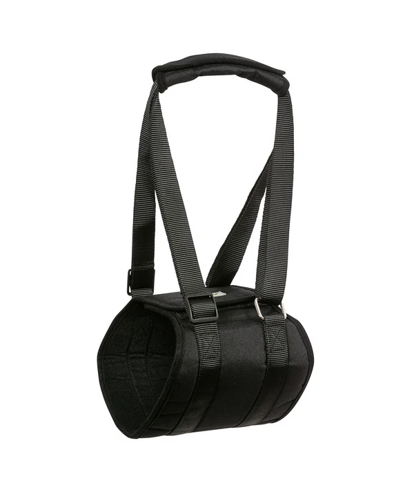 Dehner Lieblinge Tragehilfe Für Hunde 4 Dehner Lieblinge Tragehilfe Für Hunde – Bild 2