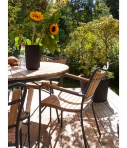 Cinas Stapelstuhl Ellen -Eleganter Garten 6843569 WE MO 002 EllenArmlehnstuhl