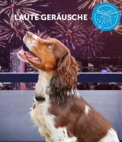 ADAPTIL® Calm Halsband Für Hunde -Eleganter Garten 6877104 6877146 WE DE 004 CevaHZbhAdaptilCalmHalsband