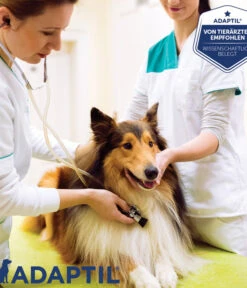 ADAPTIL® Calm Halsband Für Hunde -Eleganter Garten 6877104 6877146 WE DE 007 CevaHZbhAdaptilCalmHalsband