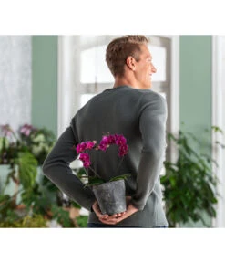 Dehner Keramik-Übertopf Nature Earth, Konisch, Grau, Ca. Ø14 Cm -Eleganter Garten 6895577 WE MO 002 OrchideentopfNature