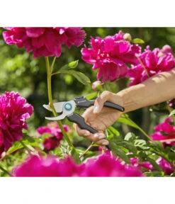 GARDENA Bypass Gartenschere Ecoline -Eleganter Garten 6916084 WE MO 001 GardenaGartenschereEcoline