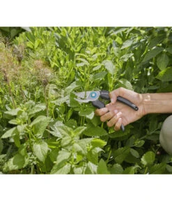 GARDENA Bypass Gartenschere Ecoline -Eleganter Garten 6916084 WE MO 005 GardenaGartenschereEcoline