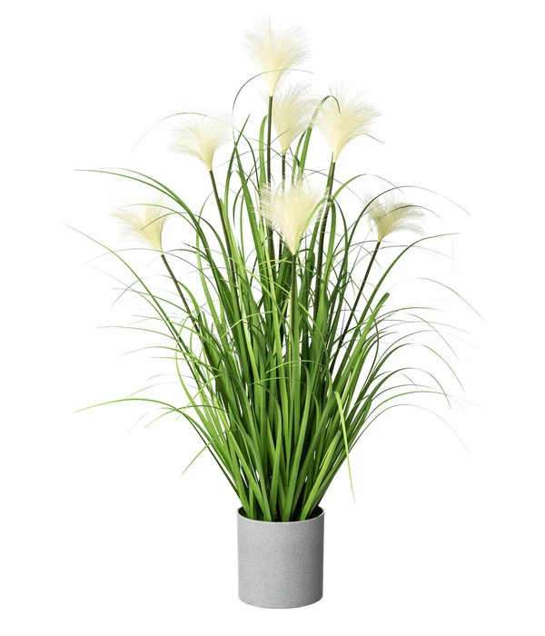Gasper Kunstpflanze Riedgras, Ca. H76 Cm 3 Gasper Kunstpflanze Riedgras, Ca. H76 Cm