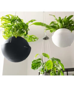 LECHUZA® BOLA Color, All-in-One Set 15 LECHUZA® BOLA Color, All-in-One Set -Eleganter Garten 6938708 6938724 6938807 6938815 WE MO 002 BOlaColorWeissSchiefergrau