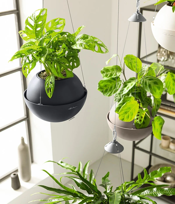 LECHUZA® BOLA Color, All-in-One Set 8 LECHUZA® BOLA Color, All-in-One Set – Bild 6