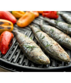 CADAC Gasgrill Grillo Chef 40 9 CADAC Gasgrill Grillo Chef 40 -Eleganter Garten 6961742 6961759 WE MO 001 Cadac GasgrillGrilloChef40