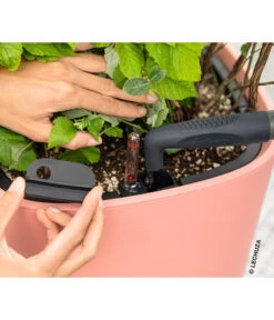 LECHUZA® Kunststoff-Topf Pila Color Planter, Rund, Ca. Ø35/H33 Cm -Eleganter Garten 6963664 WE MO 001 LechuzaCOLORPLANTER