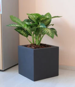 Farmet New Doppelwandiger Kunststoff-Kübel Atlantis, Quadratisch, Dunkelgrau, Inkl. Untersetzer 8 Farmet New Doppelwandiger Kunststoff-Kübel Atlantis, Quadratisch, Dunkelgrau, Inkl. Untersetzer -Eleganter Garten 6965065 WE MO 001 FarmetNewdoppelwandigerKunststoffKuebelAtlantisrechteckig