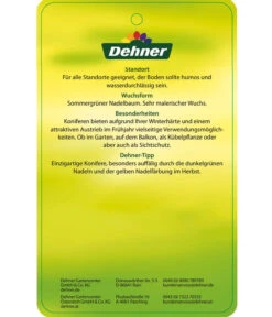 Japanische Lärche -Eleganter Garten 7261548 JapanischeLaerche Etikett 2