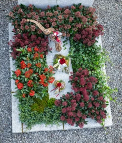 Gewöhnlicher Efeu 7 Gewöhnlicher Efeu -Eleganter Garten 7472202 7472301 7207871 7472079 WE MO 001 Grabschmuck