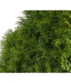 16 Meter Lebensbaum 'Smaragd', 40 X Ca. 125-150 Cm 11 16 Meter Lebensbaum 'Smaragd', 40 X Ca. 125-150 Cm -Eleganter Garten 7513534 WE DE 001 ThujaLebensbaumOccidentalisSmaragd20LDehnerExpressHerzig