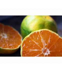 Rangpur-Limette 'Lima Rossa' -Eleganter Garten 7622616 WE MO 001 RangpurLimettePixabay