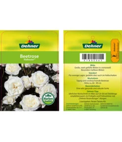Edelrosen-Mix 'Nostalgie®' -Eleganter Garten 7800063 AlabasterBeetrose Etikett1